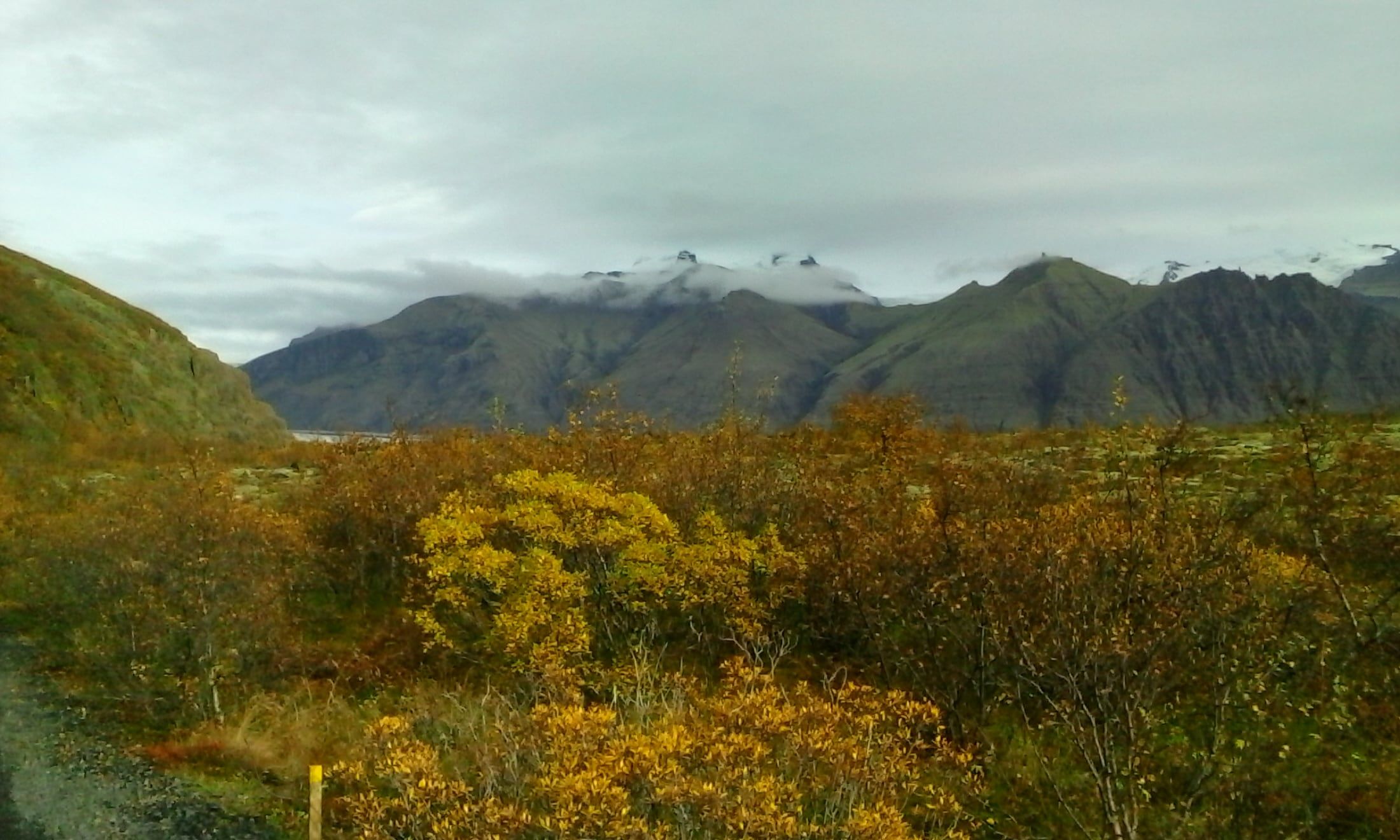 Golden autumn shrubs fill the foreground below cloud-capped mountains with snow-dusted peaks and grey sky beyond.